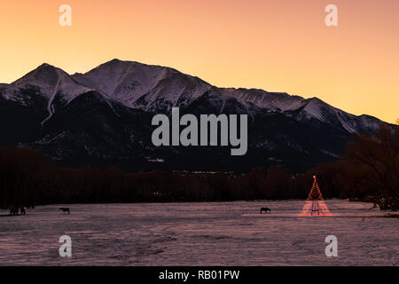 L'arbre de Noël illuminé en solitaire ranch enneigés ; pâturages ; au-delà des Montagnes Rocheuses du Colorado, USA Banque D'Images