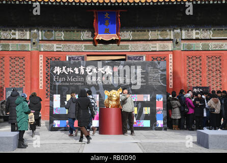 (190106) -- BEIJING, 6 janvier 2019 (Xinhua) -- Les visiteurs sont sur le point de vue du Zodiaque Chinois Han Meilin Exposition d'Art à Beijing, capitale de Chine, le 5 janvier 2019. Une exposition d'art chinois de zodiaque a ouvert dans le musée du palais à Pékin ce week-end, mettant en vedette les œuvres d'art traditionnelles master Han Meilin sur les 12 animaux du zodiaque chinois calendrier. Sur l'affichage sont des peintures, de la calligraphie, la sculpture, de la sculpture, des meubles et de l'artisanat folklorique. L'exposition durera jusqu'au 20 février, courant à travers le Nouvel An chinois. Le zodiaque chinois est basé sur un calendrier de douze-oui Banque D'Images