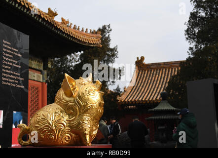 (190106) -- BEIJING, 6 janvier 2019 (Xinhua) -- L'art du cochon, le douzième dans le cycle de 12 ans du signe du zodiaque chinois, qui s'affiche pendant l'Han Meilin Exposition d'art chinois de zodiaque à Beijing, capitale de Chine, le 5 janvier 2019. Une exposition d'art chinois de zodiaque a ouvert dans le musée du palais à Pékin ce week-end, mettant en vedette les œuvres d'art traditionnelles master Han Meilin sur les 12 animaux du zodiaque chinois calendrier. Sur l'affichage sont des peintures, de la calligraphie, la sculpture, de la sculpture, des meubles et de l'artisanat folklorique. L'exposition durera jusqu'au 20 février, courant à travers les Chinois N Banque D'Images