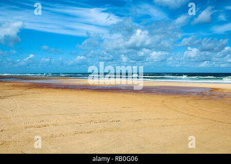 Vide et déserté soixante-quinze Mile Beach sur l'île Fraser au cours de l'été avec les voies de bus (Fraser Island, Queensland, Australie) Banque D'Images