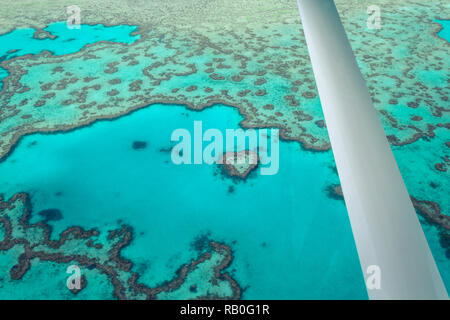 Plane du célèbre coeur de corail (Great Barrier Reef) sur le littoral de Airlie Beach à proximité les Whitsunday Islands (Îles Whitsunday, Australie) Banque D'Images