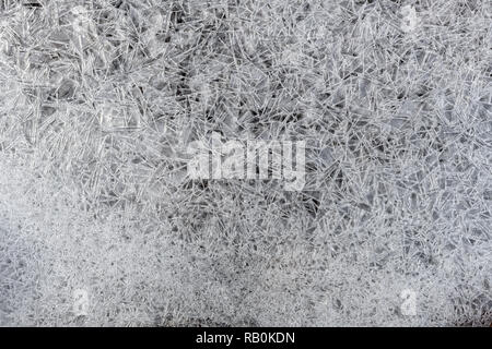 Détail de cristaux de glace dans la petite rivière Truckee, Californie, USA Banque D'Images