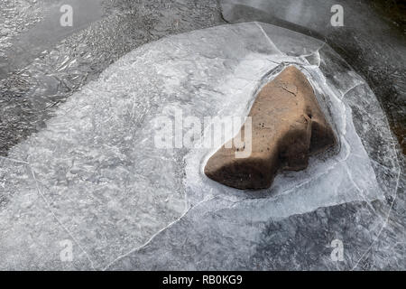 La glace se forme autour d'un rocher dans la petite rivière Truckee, Californie, USA Banque D'Images