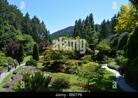 Vue sur le jardin en contrebas dans les Jardins Butchart, Victoria, Colombie-Britannique, Canada Banque D'Images