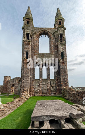 Ruines de la cathédrale St Andrews St Andrews Fife en Écosse au Royaume-Uni Banque D'Images