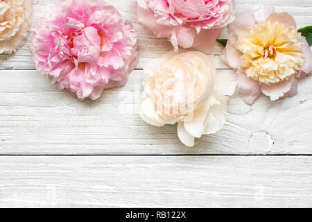 Les fleurs rose et blanc crémeux sur fond de bois. Télévision. Vue de dessus avec copie espace. maquette carte de mariage. Banque D'Images