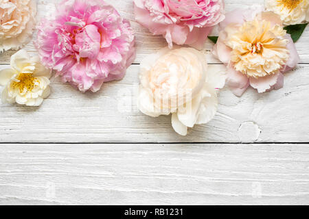 Fleurs de pivoine rose et crémeuse avec des roses on white background. Télévision. Vue de dessus avec copie espace. maquette carte de mariage. Banque D'Images