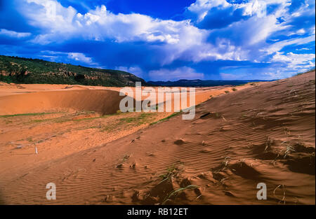 Coral Pink Sand Dunes dans le sud de l'Utah. Banque D'Images