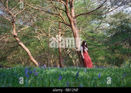 Une jeune femme à la longue chevelure brune avec des feux rouges et s'appuie contre un arbre, à la sombre et contemplative. L'anglais je bois Banque D'Images