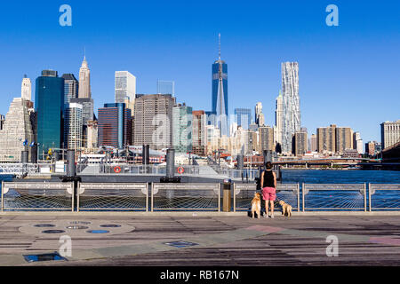 Femme avec deux chiens Labrador balade à Brooklyn Brodge parc avec vue sur le quartier financier de Manhattan Banque D'Images