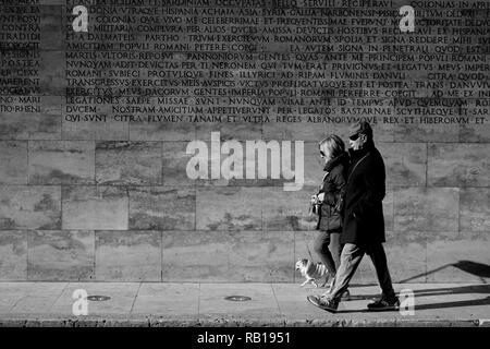 Couple de Chihuahua petit chien marcher sur la chaussée à Rome, rue centre contre le mur près de l'Ara Pacis Augustae Banque D'Images