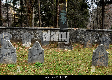 SINAIA, Roumanie - le 25 janvier 2018. Cimetière des héros à Sinaia, Prahova, Roumanie. Banque D'Images