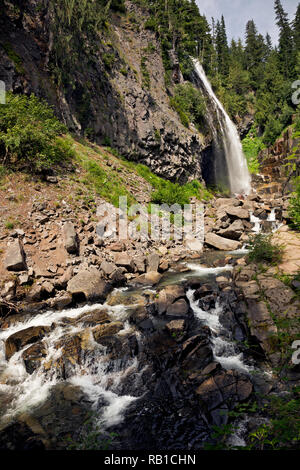 WA15667-00...WASHINGTON - La rivière Paradise ci-dessous Narada tombe dans le Parc National de Mount Rainier. Banque D'Images