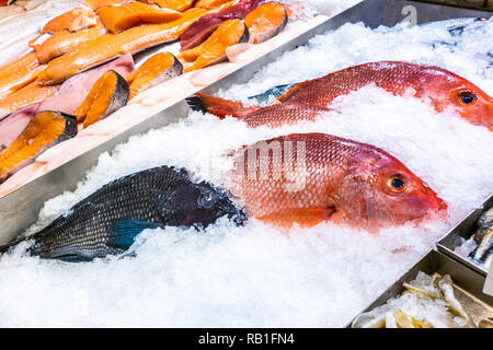 Variété de poisson frais crus conservés sur glace Banque D'Images