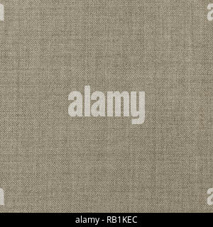 Costume gris taupe coton manteau beige naturel Mélange viscose tissu mélange Motif texture de fond texturé vertical détaillé grand tissus mélangés Banque D'Images