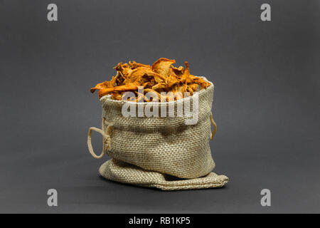 Composition des champignons chanterelles jaunes sèches placées dans un sac de toile sur la surface arrière-plan gris Banque D'Images