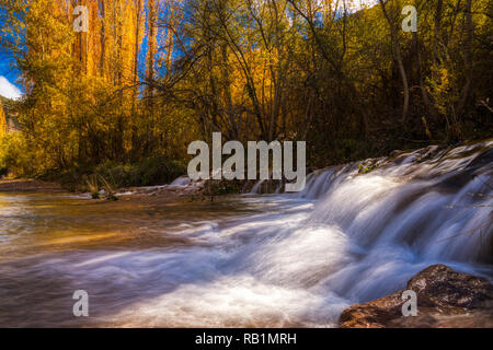 Low angle photo d'une petite cascade sur un jour d'automne avec jaune d'orange et de feuilles sur les arbres de la forêt, le ciel bleu Banque D'Images