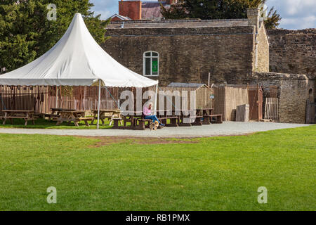 Une femme chien walker se trouve dans les motifs de Ludlow Castle dans le soleil d'automne, Shropshire, Angleterre Banque D'Images