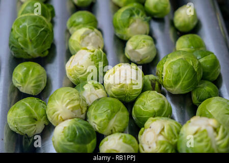 Ligne de production de choux de Bruxelles en usine Banque D'Images
