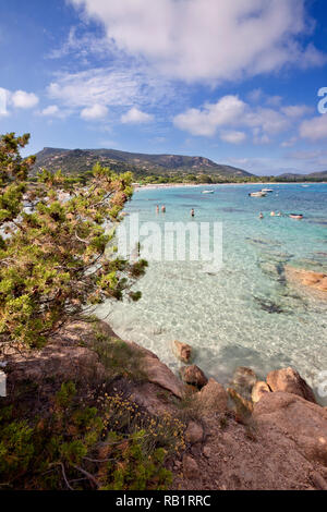 La célèbre plage de Palombaggia sur l'extrémité sud-est de l'île de Corse avec ses rochers rouges typiques et l'eau turquoise. Banque D'Images