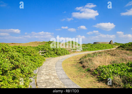 Petit chemin chemin dans le parc, au cap Zanpa à Okinawa, Japon Banque D'Images