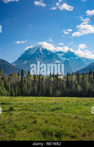 Le mont Robson dans le soleil du matin, British Columbia, Canada Banque D'Images