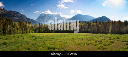 Le mont Robson dans le soleil du matin, British Columbia, Canada Banque D'Images