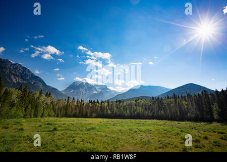 Le mont Robson dans le soleil du matin, British Columbia, Canada Banque D'Images