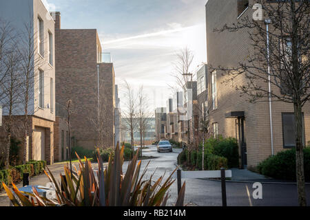 Des logements modernes dans le développement de l'aura à la périphérie de Cambridge, Royaume-Uni Banque D'Images