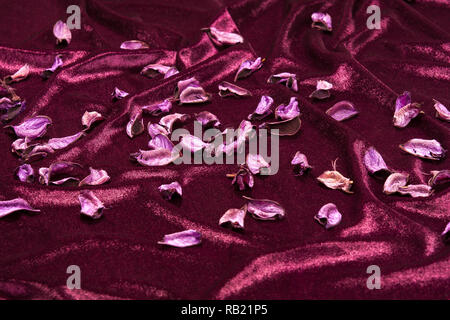 Peint et feuilles séchées de plants de coton sur un tissu en satin violet Banque D'Images