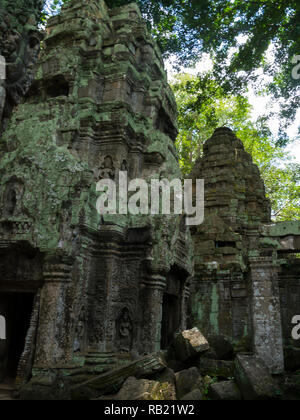 Les ruines de Ta Prohm nom moderne du temple d'Angkor La Province de Siem Reap au Cambodge, construit en style du Bayon en 1186 A.D temple bouddhiste Banque D'Images