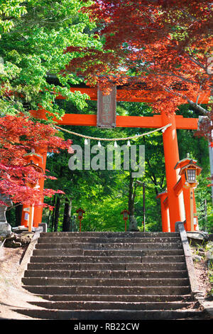 La porte de temple japonais dans le passage libre à l'érable rouge autour du temple Banque D'Images