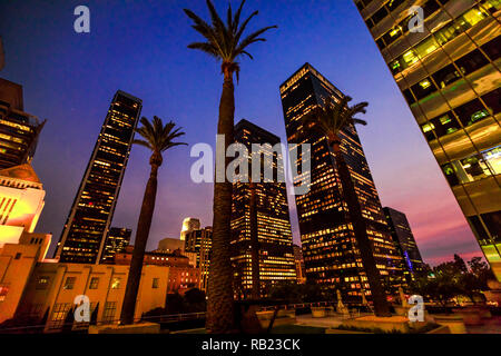 Bureau d'affaires commerciales et gratte-ciel de palmiers arbre dans le ciel de Los Angeles. Vue de nuit en milieu urbain. Los Angeles Public Library et Bunker Hill comme suit. En Californie, aux États-Unis. Banque D'Images