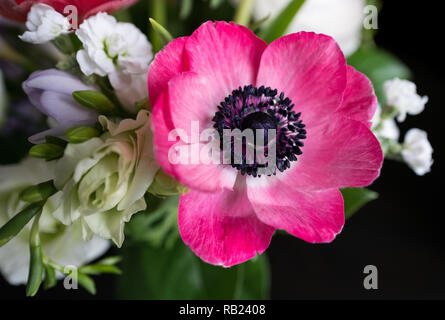 Bouquet Banque D'Images