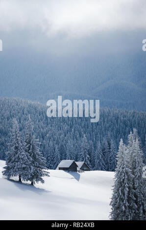 Paysage d'hiver avec une fabuleuse maison dans le bois. Carpates, l'Ukraine, l'Europe Banque D'Images