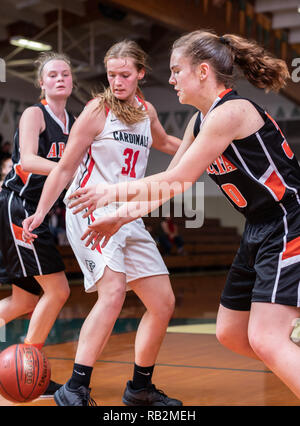 Action de basket-ball avec Arcata vs. Corning High School à Red Bluff, en Californie. Banque D'Images