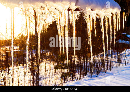 Beau Soleil briller dans les glaçons contre ciel bleu. Paysage de printemps avec des glaçons pendant de toit de maison. Gouttes de printemps les glaçons de dégoutter. La fonte Banque D'Images