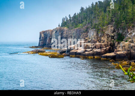 La célèbre Otter Cliff dans l'Acadia National Park, Maine Banque D'Images