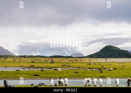 Des plaines de Salisbury en face d'un gigantesque glacier. Banque D'Images