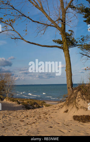 Vue sur le lac Michigan des dunes de sable sur un matin d'automne. Indiana Dunes State Park, Indiana, USA Banque D'Images