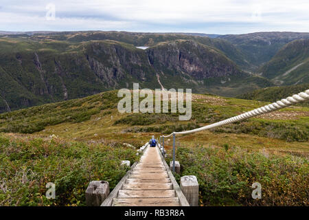 Un randonneur en appui et en admirant la vue sur les escaliers en haut du mont Gros-Morne à Terre-Neuve Banque D'Images