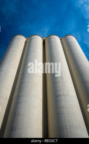 Quatre colonnes de silo à grains atteignant jusqu'à un ciel bleu Banque D'Images