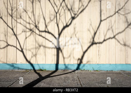 L'ombre d'un arbre squelettique sur une crème barrière avec une bande bleue et des trottoirs en premier plan, horizontal Banque D'Images