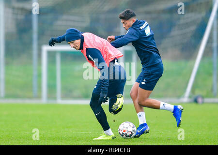 Zuzenhausen (, Allemagne. 07Th Jan, 2019. Soccer : la Bundesliga, le TSG 1899 Hoffenheim, formation sur un terrain de sport du centre de formation. Hoffenheim's Steven Zuber (l) et de Nadiem Amiri lutte pour la balle. Credit : Uwe Anspach/dpa/Alamy Live News Banque D'Images