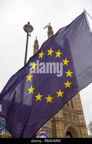 Londres, Royaume-Uni. 7Th jan 2019. Les manifestants des deux côtés de l'Brexit débat recueillir l'extérieur du Parlement Crédit : George Cracknell Wright/Alamy Live News Banque D'Images