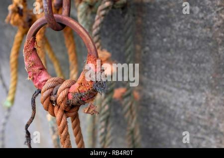 Old rusty anneau métallique et de béton, mur de la mer du Nord, sheringham Norfolk, Angleterre Banque D'Images