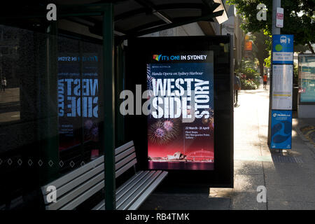 Publicité lumineuse dans un abri bus, Brisbane, Queensland, Australie Banque D'Images