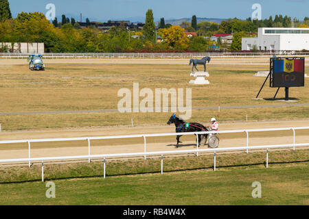 Ploiesti, Roumanie - 10 octobre 2018 : jockey et cheval participant à une course de chevaux à l'aide de sulky sur hippodrome en Ploiesti Prahova, Roumanie. Banque D'Images