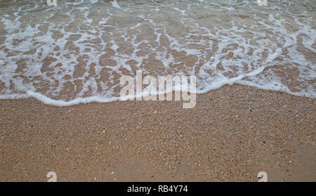 Focus sélectif de vague sur la plage Banque D'Images