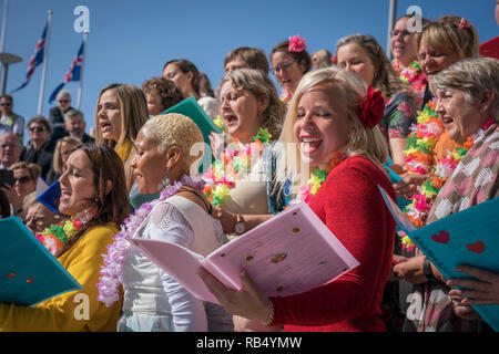 Mulitcultural Choir, Summer Festival, Journée Culturelle, Reykjavik, Islande Banque D'Images